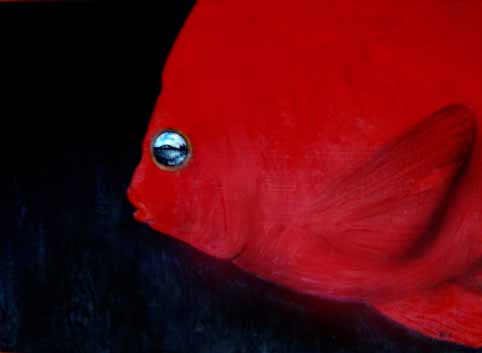 View larger image View larger image