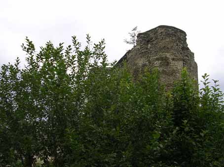 View larger image View larger image