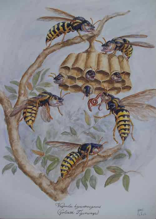 View larger image View larger image