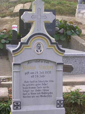 View larger image View larger image