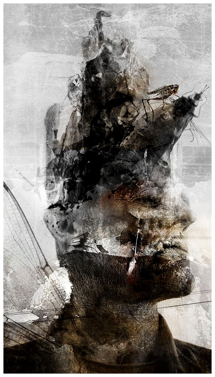 View larger image View larger image