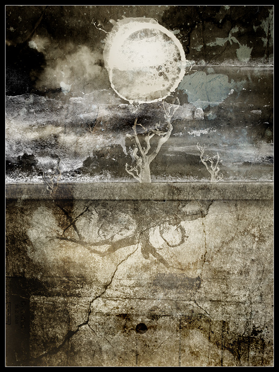 View larger image View larger image