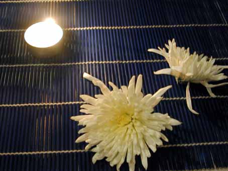 View larger image View larger image