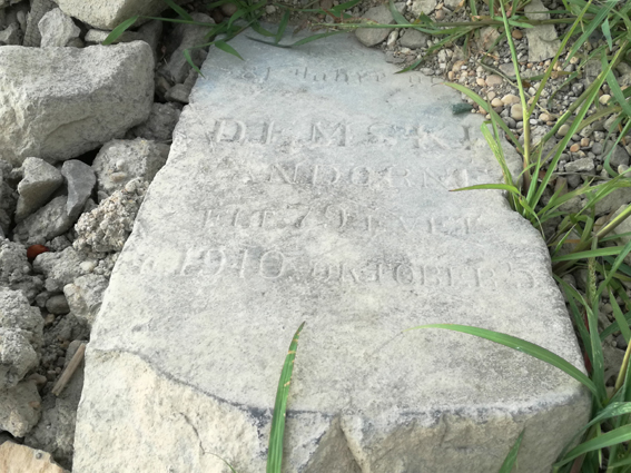 View larger image View larger image