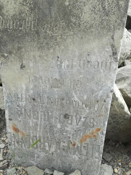 View larger image View larger image