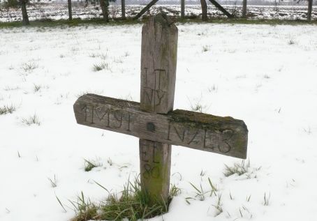 View larger image View larger image