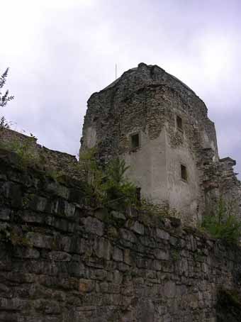 View larger image View larger image