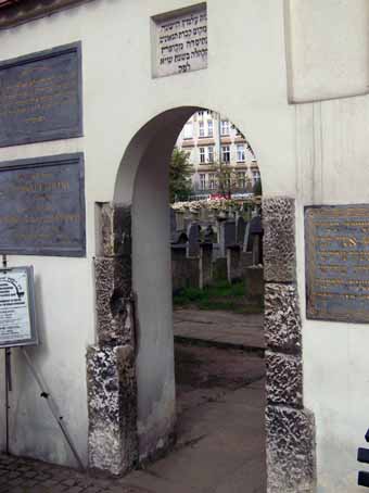 View larger image View larger image