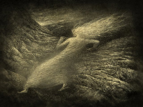 View larger image View larger image