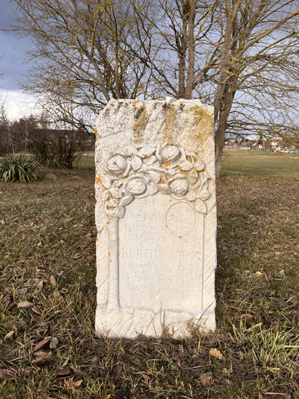 View larger image View larger image