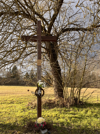 View larger image View larger image