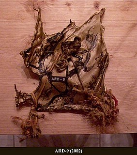 View larger image View larger image