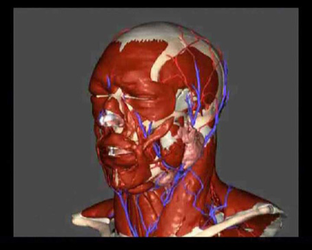 View larger image View larger image