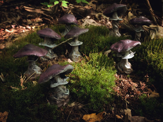 View larger image View larger image