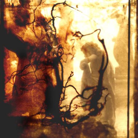 View larger image View larger image