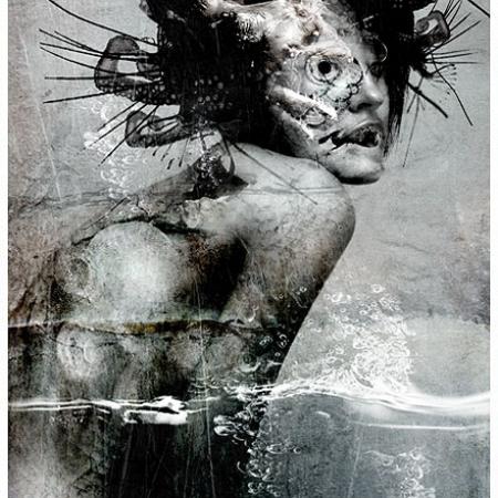 View larger image View larger image