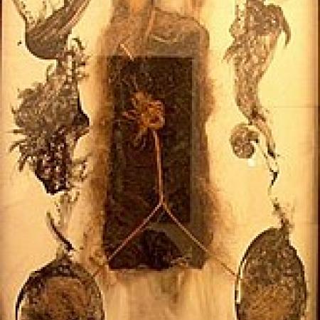 View larger image View larger image