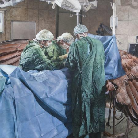 View larger image View larger image