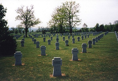 View larger image View larger image