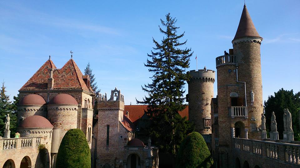 View larger image View larger image