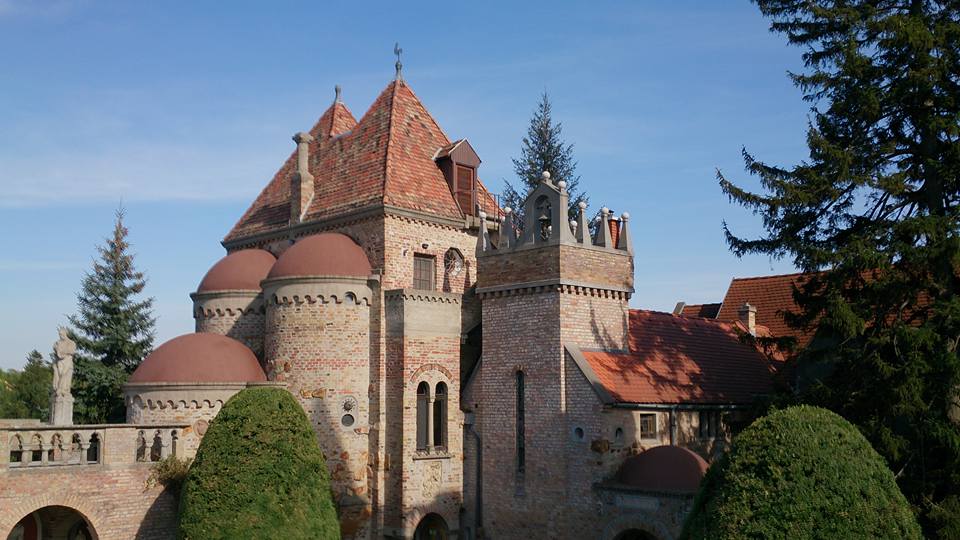 View larger image View larger image