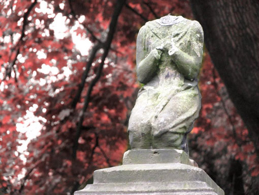 View larger image View larger image