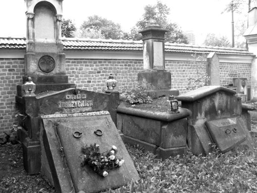 View larger image View larger image