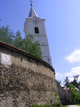 View larger image View larger image