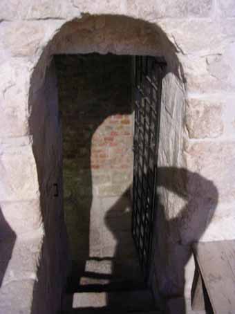 View larger image View larger image