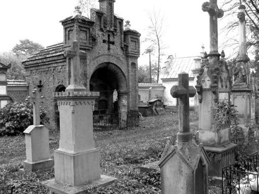 View larger image View larger image