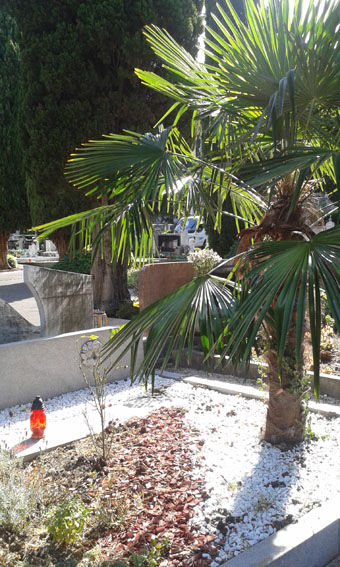 View larger image View larger image