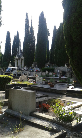 View larger image View larger image