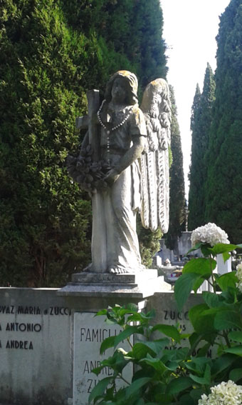 View larger image View larger image