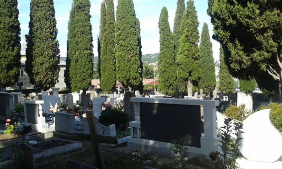 View larger image View larger image