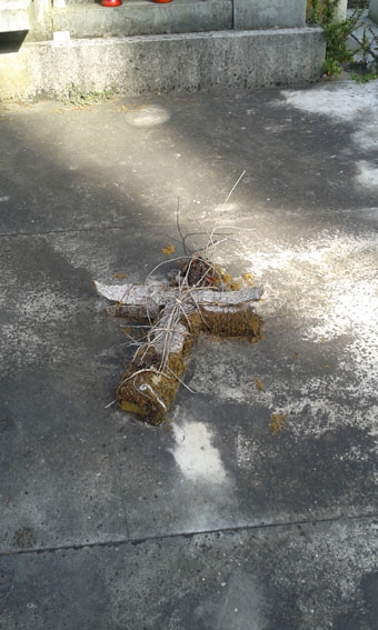 View larger image View larger image