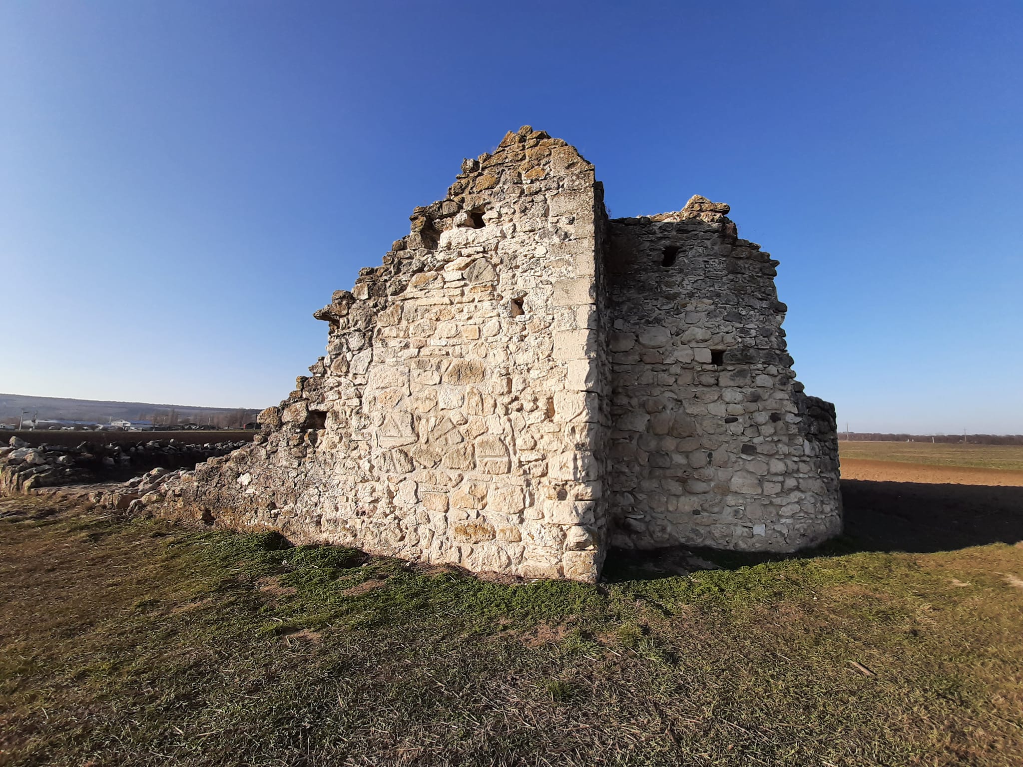 View larger image View larger image