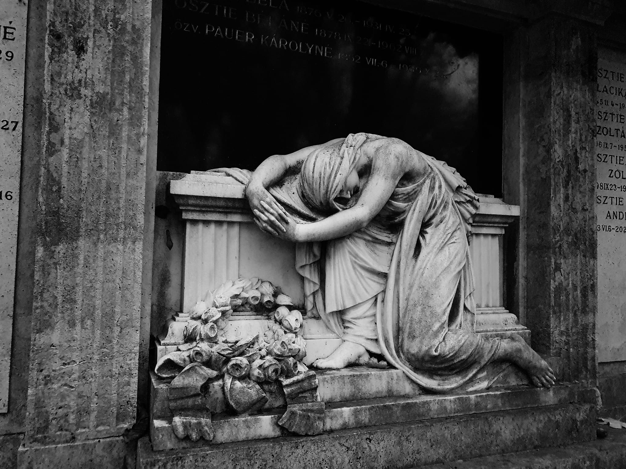 View larger image View larger image