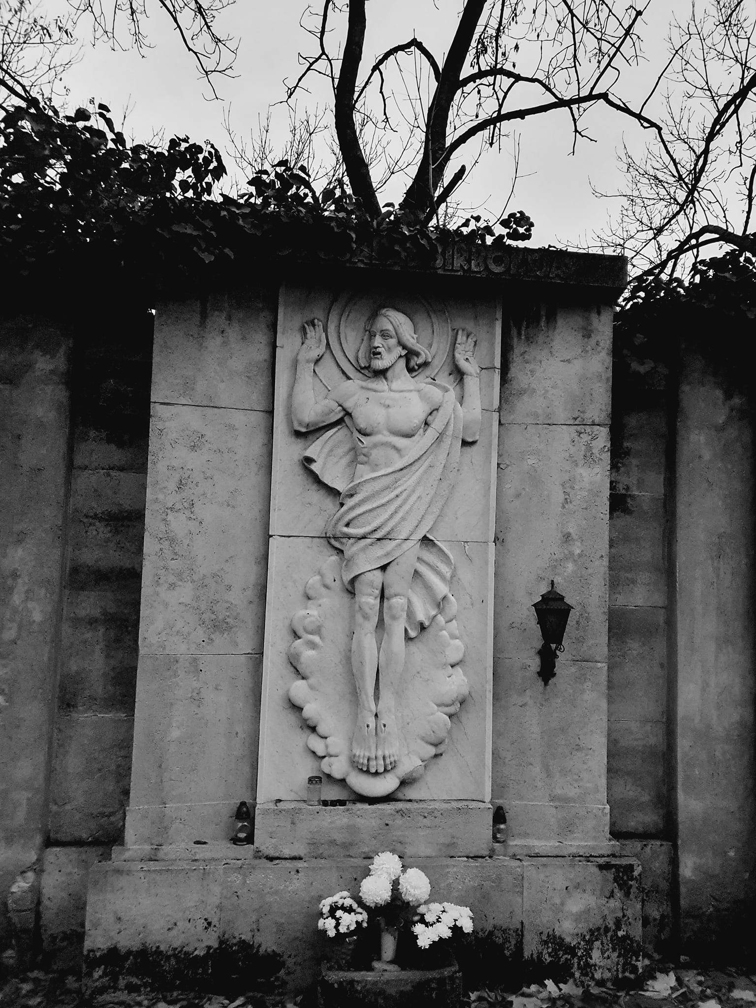 View larger image View larger image