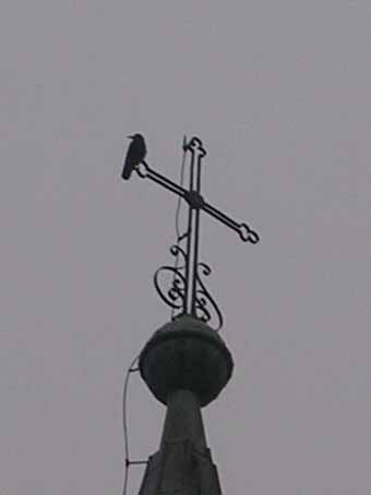 View larger image View larger image