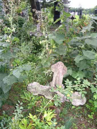 View larger image View larger image