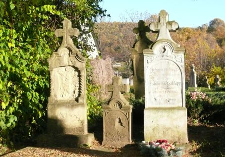 View larger image View larger image