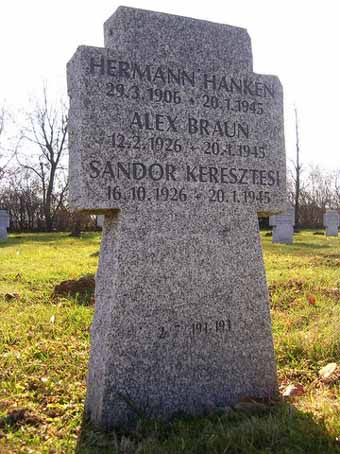 View larger image View larger image