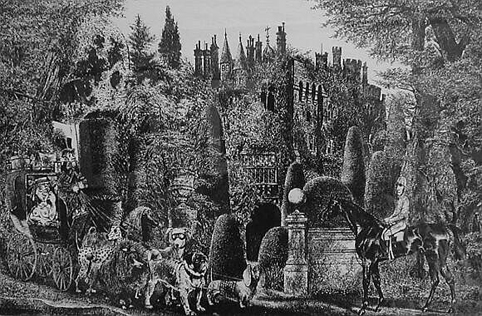 View larger image View larger image