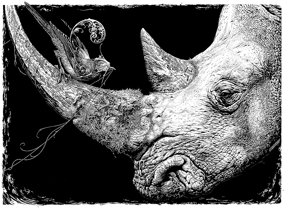 View larger image View larger image