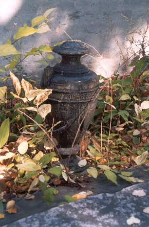 View larger image View larger image