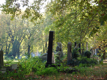 View larger image View larger image