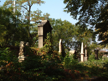 View larger image View larger image