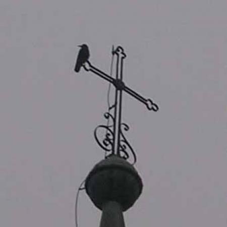 View larger image View larger image